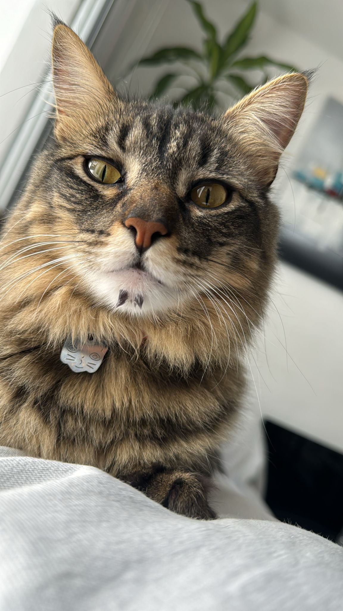 Gretta