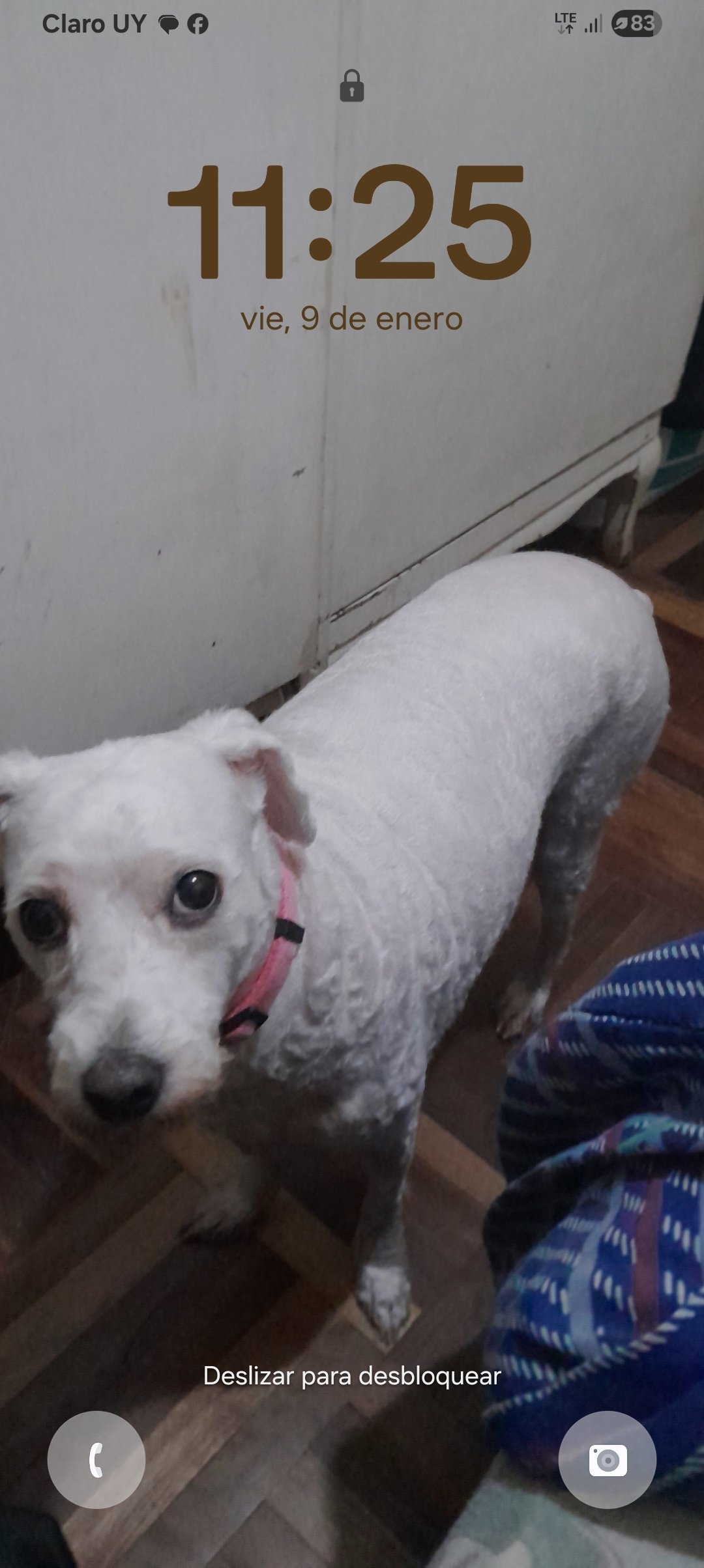 LULY