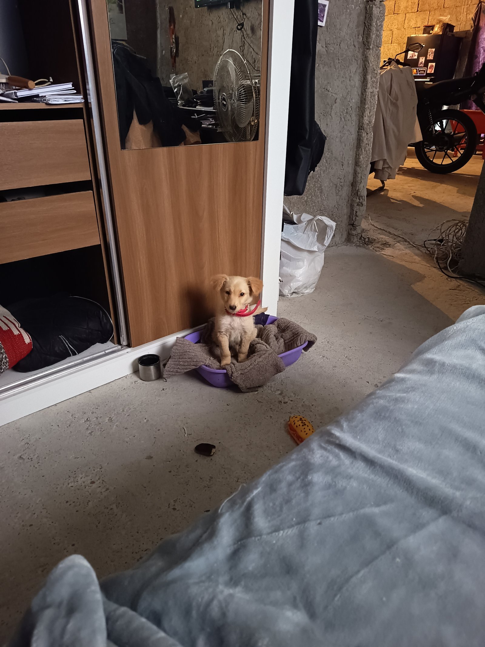 Lux
