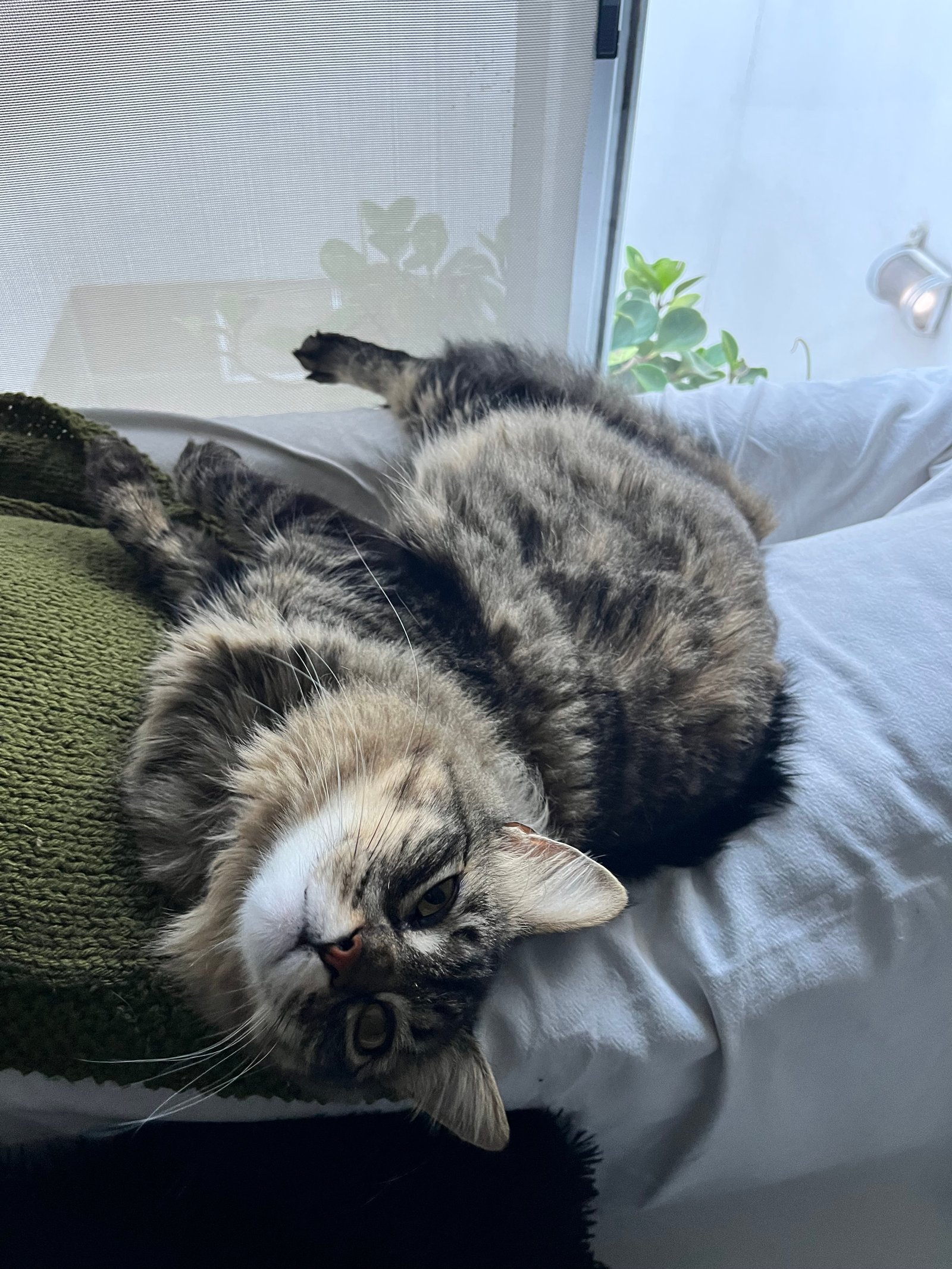 Gretta