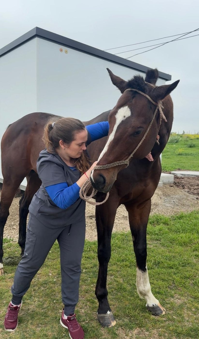 Rehabilitación / Fisiatría veterinaria – Quiropraxia veterinaria